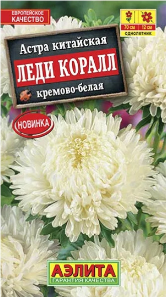 Астра Леди Коралл Кремово-Белая 