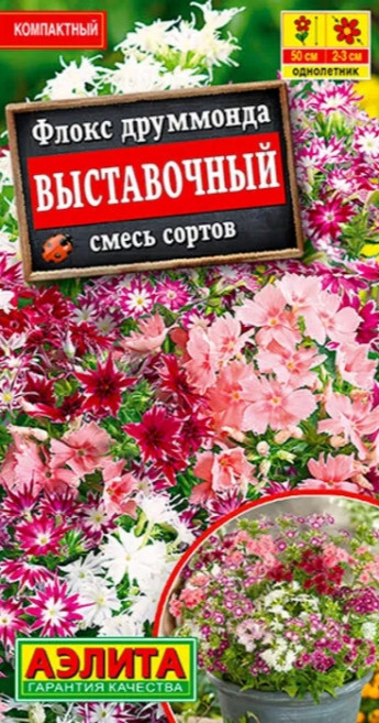 Флокс друммонда Выставочный звездч. 