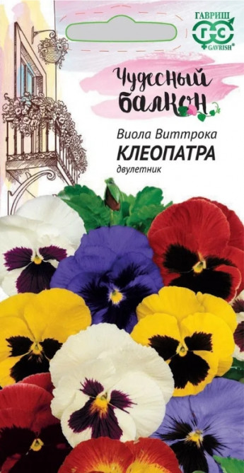 Виола Клеопатра Виттрока Чуд.балкон 