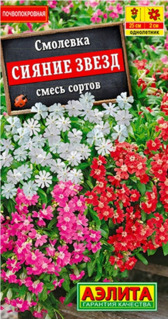 Смолевка Сияние Звезд Аэлита 