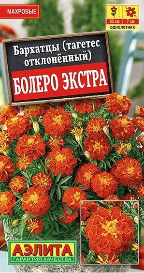Бархатцы Болеро Экстра Аэлита 