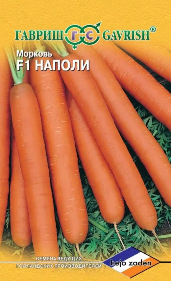 Морковь Наполи F1 Голландия 