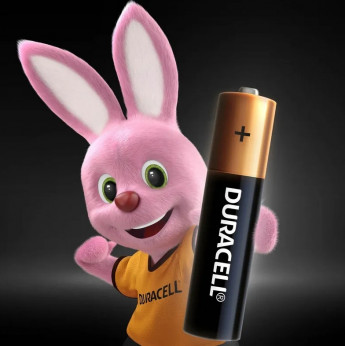 Эл-т питания Duracell LR06 BP20 