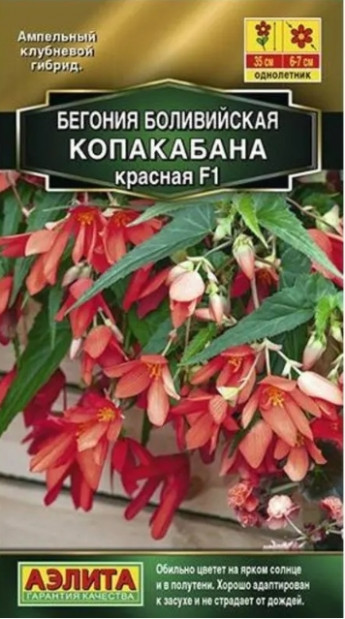 Бегония Копакабана F1 КРАСНАЯ болив 
