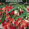 Бегония Копакабана F1 КРАСНАЯ болив - 