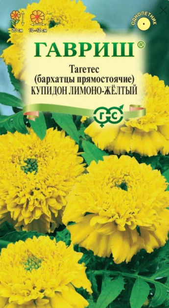 Бархатцы Купидон Лимонно-Желтый Гав 