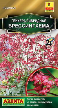 Гейхера Брессингхема Аэлита