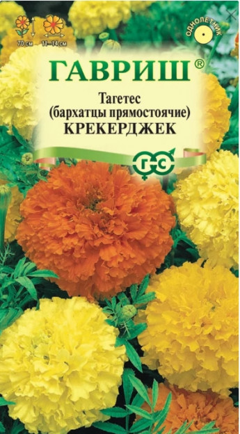 Бархатцы Крекерджек Гавриш 