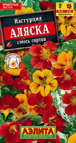 Настурция Аляска 