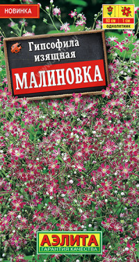 Гипсофила Малиновка Аэлита