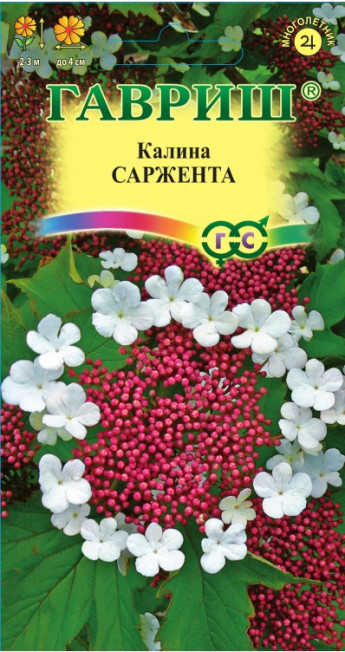 Калина Саржента Гавриш 