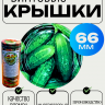 Крышка винтовая твист-офф 66 фото - 