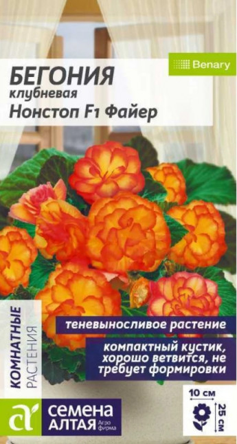 Бегония Нонстоп F1 Файер комнатная 