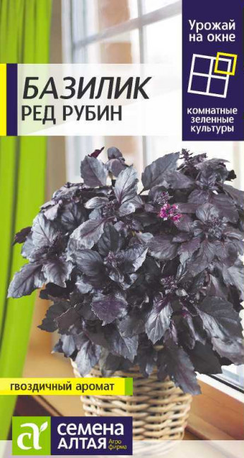 Базилик Ред Рубин фиолет. Сем.Алтая 