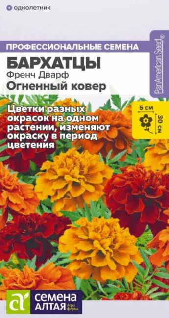 Бархатцы Френч Дварф Огненный Ковер 