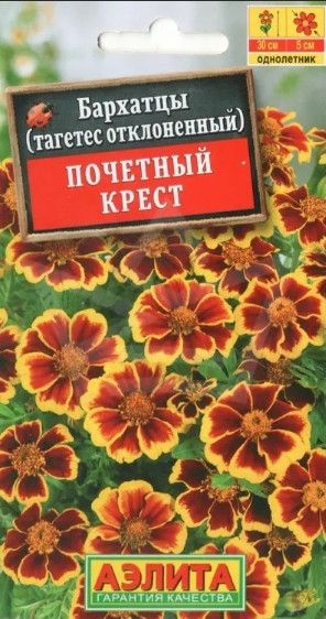Бархатцы Почетный Крест Аэлита 