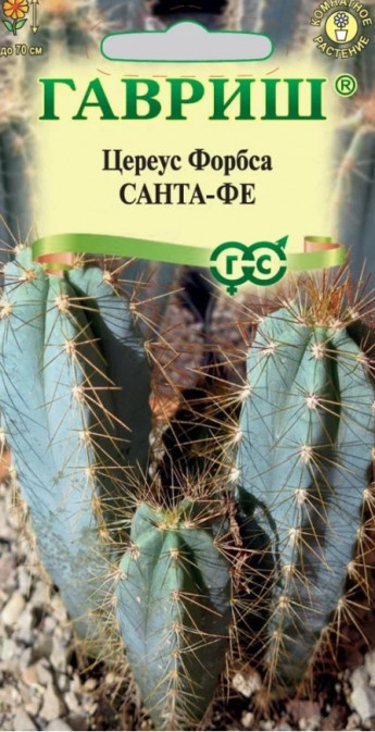Цереус (Кактус) Форбса Санта-Фе ком 
