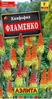 Книфофия Фламенко Аэлита