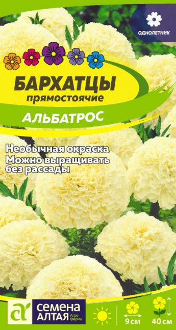 Бархатцы Альбатрос Сем.Алтая 