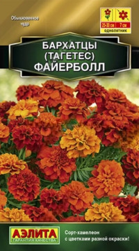 Бархатцы Файерболл Хамелеон Аэлита