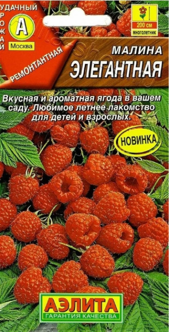 Малина Элегантная ремонантная 