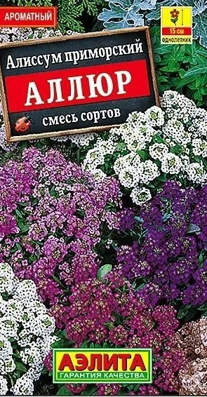 Алиссум Аллюр Аэлита 