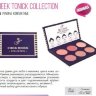Флер В-955 румяна CHEEK Tonick Coll - 