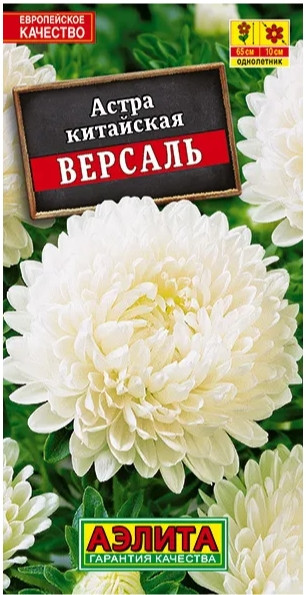 Астра Версаль пионовидная 