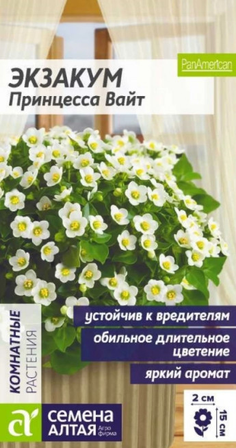 Экзакум Принцесса Вайт комнатная 