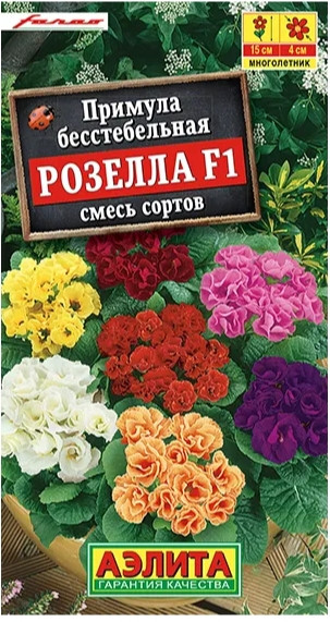Примула Розелла F1 