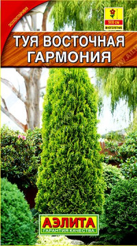 Туя Гармония восточная