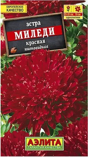 Астра Миледи КРАСНАЯ пионовидная 