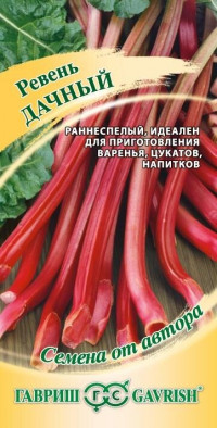 Ревень Дачный