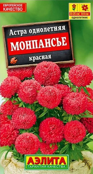 Астра Монпансье Красная 
