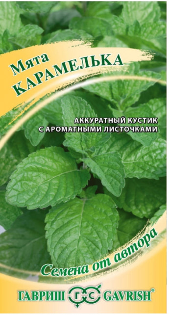 Мята Карамелька Гавриш 