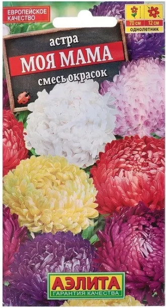 Астра Моя Мама пионовидная 
