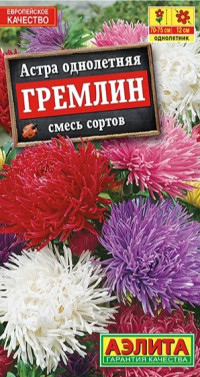 Астра Гремлин СМЕСЬ окрасок Аэлита