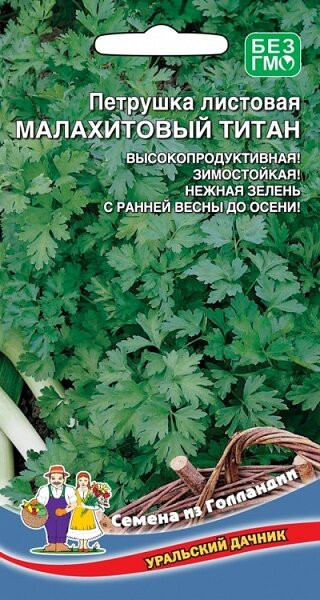 Петрушка листовая Малахитовый Титан 