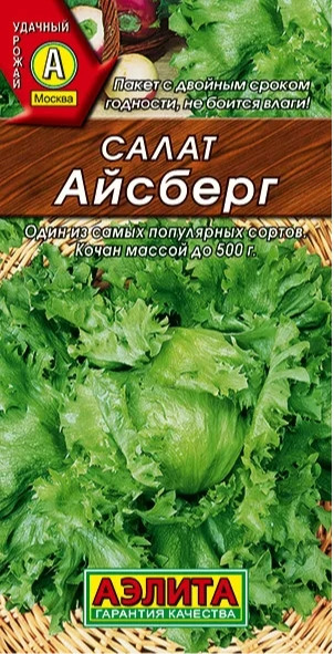 Салат Айсберг кочанный 
