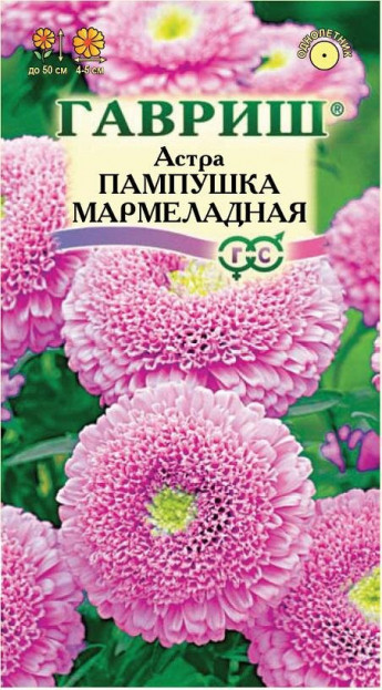 Астра Пампушка Мармеладная 