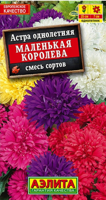 Астра Маленькая Королева Аэлита 