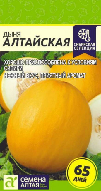 Дыня Алтайская Сем.Алтая 