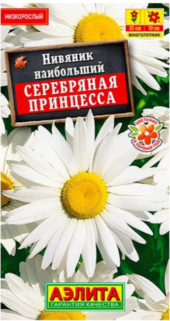 Нивяник Серебрянная Принцесса 