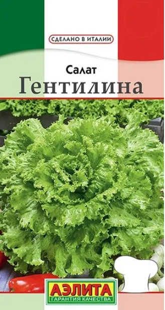 Салат Гентилина(Латук) Итал. Аэлита 