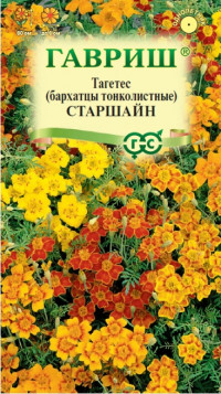 Бархатцы Старшайн Гавриш