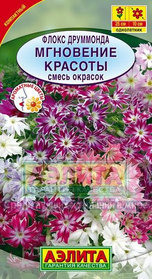 Флокс друммонда Мгновение Красоты 