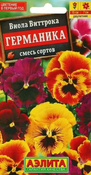 Виола Германика Аэлита 