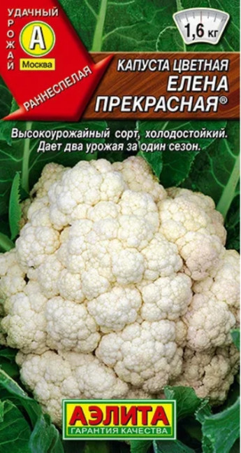 Капуста цветная Елена Прекрасная 