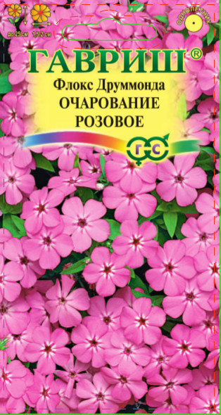 Флокс друммонда Очарование РОЗОВОЕ 