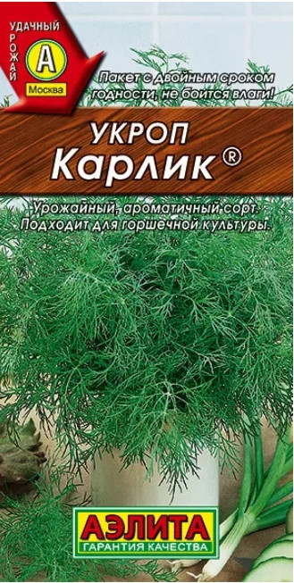 Укроп Карлик горшечный Аэлита 